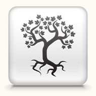 White Square Button with Tree Icon N5