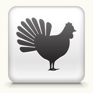 White Square Button with Chicken Icon