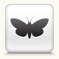 Black vector image of a moth shape