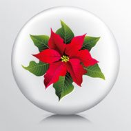 Round Icon With a Big Red and Green Poinsettia N2