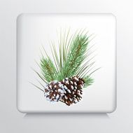 Square Icon With Three Evergreen Sprigs and Two Pine Cones