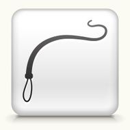 Square Button with Whip interface icon