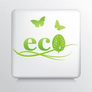 Square Icon With Green Leaves And The Word Eco N3