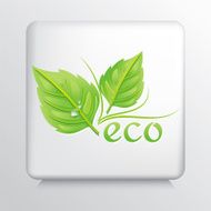 Square Icon With Green Leaves And The Word Eco N4