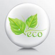 Round Icon With Green Leaves And The Word Eco N4
