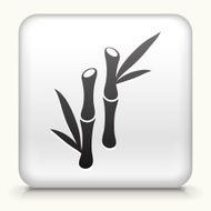 Square Button with Bamboo Plant interface icon N2