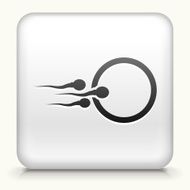 Square Button with Sperm and Egg