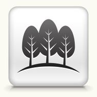 Square Button with Three Trees