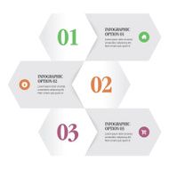 Infographic Options N13