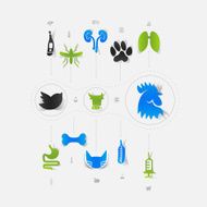 Set of veterinary icons N91