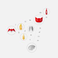 Set of veterinary icons N95