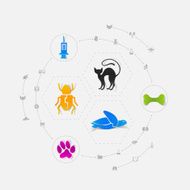 Set of veterinary icons N96