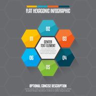 Flat Hexagon Infographic