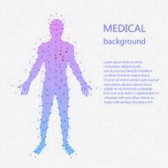 Medical background Human anatomy N4