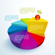 Infographics bright circle segments