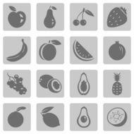 Vector Set of Fruit Icons N12