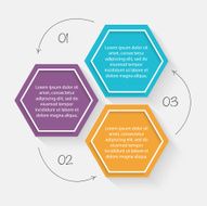 Vector colorful info graphics for your business presentations N292