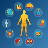 Medical background Human anatomy N5