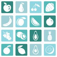 Vector Set of Fruit Icons N13