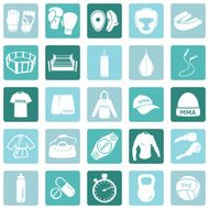 Vector Set of Mix Martial Arts Icons N5