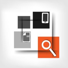 Blank with infographic elements N11