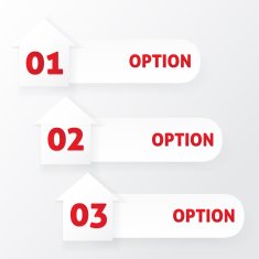 Infographics template with house and choice icons N2
