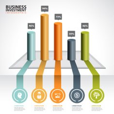 business chart and graph infographic N2