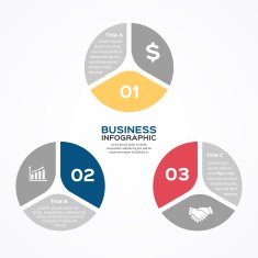Vector circle diagram infographic for business presentation N18