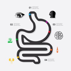 medicine infographic N71
