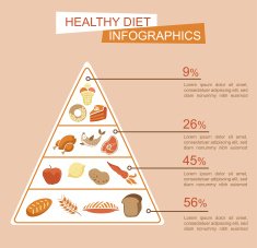 Health food infographic (vector) pyramid