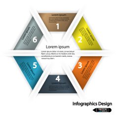 Modern infographics options banner N606