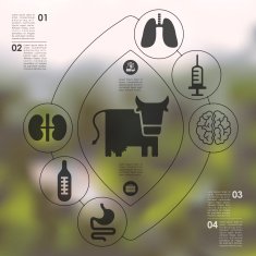 veterinary infographic with unfocused background N58