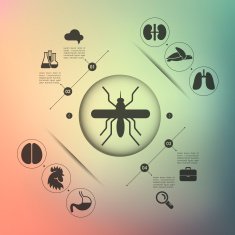 veterinary infographic with unfocused background N59