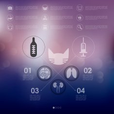 veterinary infographic with unfocused background N64