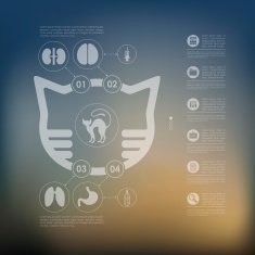 veterinary infographic with unfocused background N65