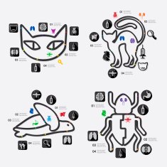 veterinary infographic N41