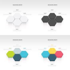 vector abstract 3d hexagonal paper infographic elements set