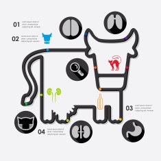 veterinary infographic N47