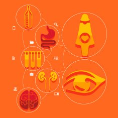 Medical flat infographic N84