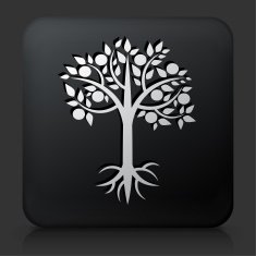 Black Square Button with Tree Icon N25