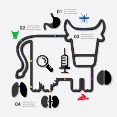 veterinary infographic N51