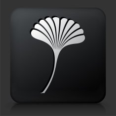 Black Square Button with Leaf Icon N15