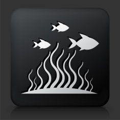 Black Square Button with Marine Animals N2