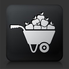 Black Square Button with Apple Cart