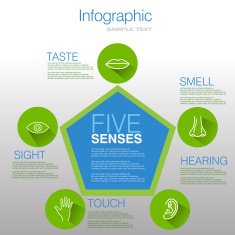 Five Senses Infographic Design N5