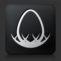 Black Square Button with Egg in Nest Icon