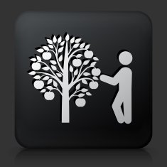 Black Square Button with Tree Harvest Icon