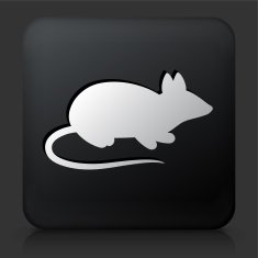 Black Square Button with Mouse Icon N2