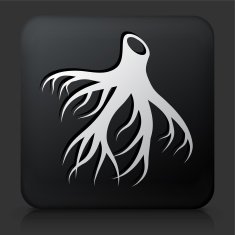 Black Square Button with Medical Root Icon