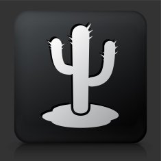 Black Square Button with Cactus Icon